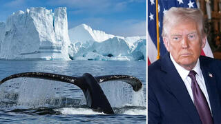 דונלד טראמפ ו גרינלנד