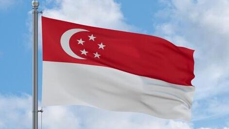 דגלים סינגפור ישראל