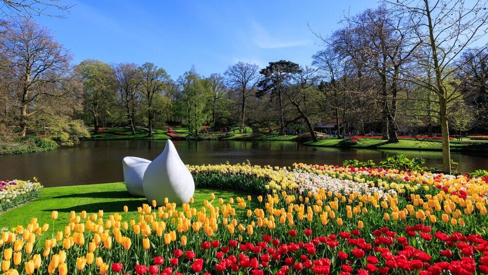 Tulips in the summer gardens of Keukenhof, Netherlands (Photo: Shutterstock) טוליפים בגנים הקייצים של קוקנהוף הולנד