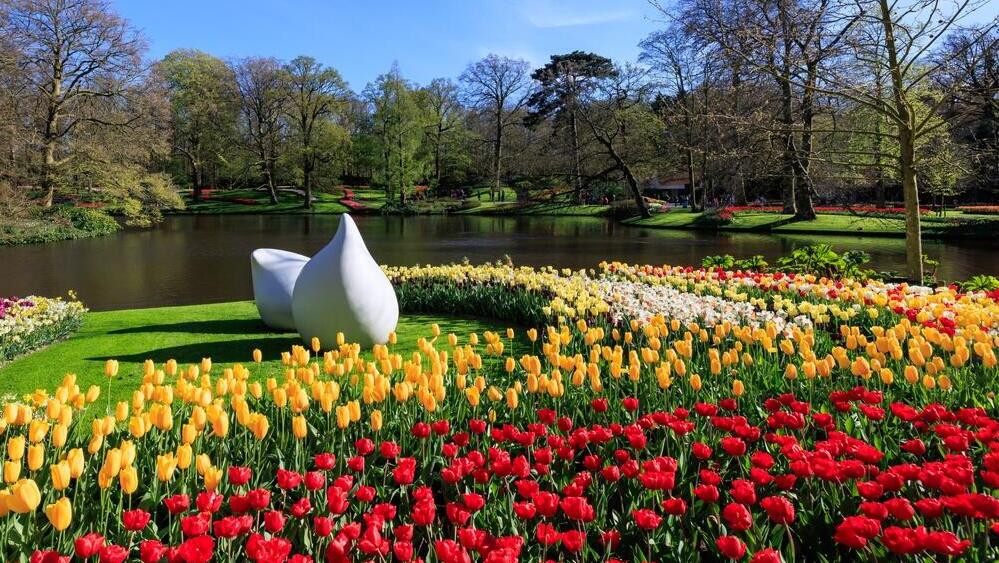 Нидерланды (Фото: shutterstock) טוליפים בגנים הקייצים של קוקנהוף הולנד