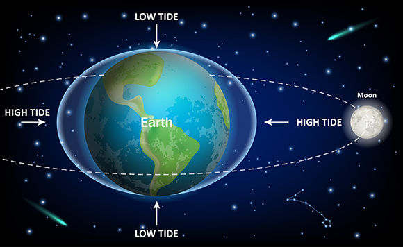 Tides create friction between the oceans and Earth's crust, slowing the planet's rotation. The Moon’s influence on Earth's tides