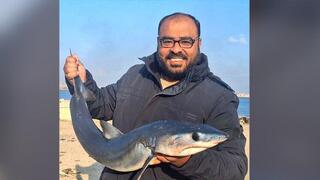 מחמוד זכי אלעאמודי והכריש בידיו