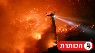 ארה"ב לוס אנג'לס שריפות