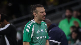 שון גולדברג כאוב