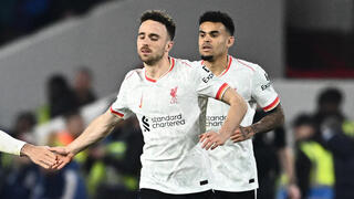 כבש אחרי כמה שניות על הדשא. ז'וטה