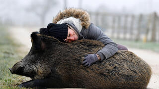 ימשיכו להיות ביחד. רייט חזירת הבר וקאפה
