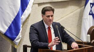  רון דרמר במליאה