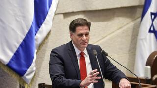  רון דרמר במליאה
