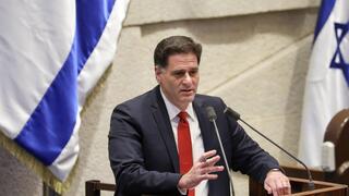  רון דרמר במליאה