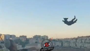 הצעיר משליך את החתול