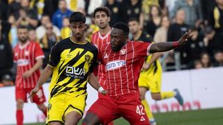 ירין לוי בפעולה