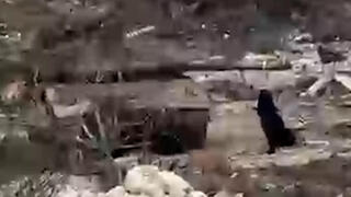 אישה עומדת מול טנק ישראלי בדרום לבנון