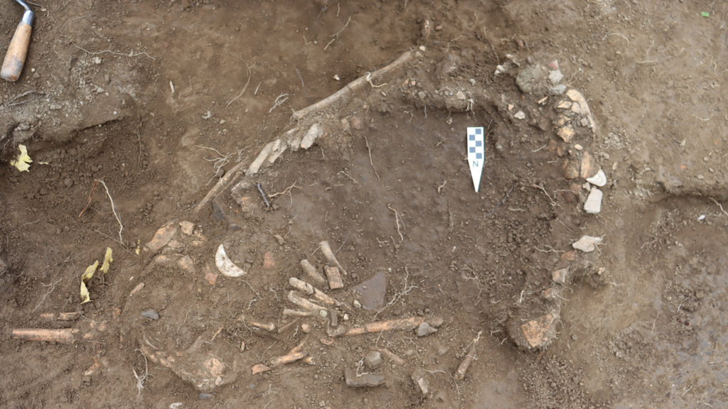 Prehistoric remains of pregnant woman found in Ecuador (Photo: Sara Juengst/UNC Charlotte) שרידי האישה ההרה שהתגלו באקוודור