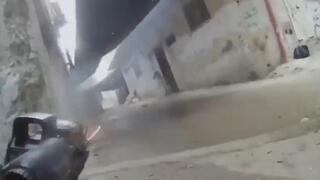 פעילות דובדבן בטול כרם