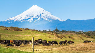 ניו זילנד הר טרנאקי קיבל מעמד של בן אנוש