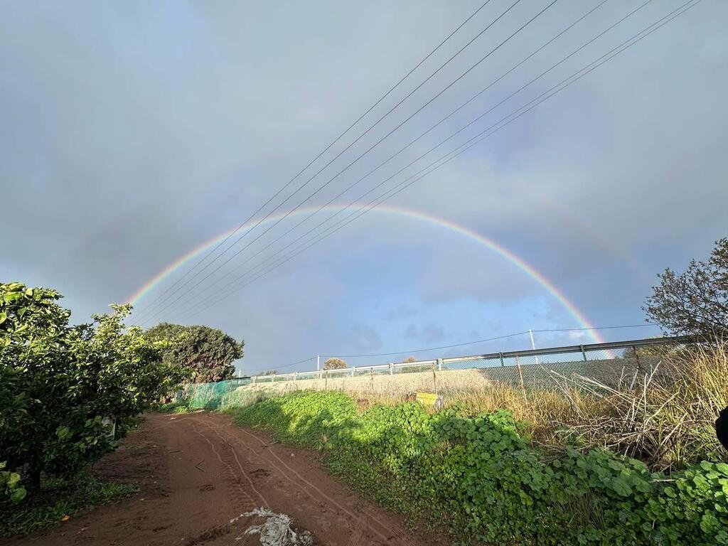 Rainbow over Pardes Hanna (Photo: Mor Adi) קשת בענן בפרדס חנה