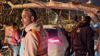 עץ קרס על רכב בקריית ביאליק