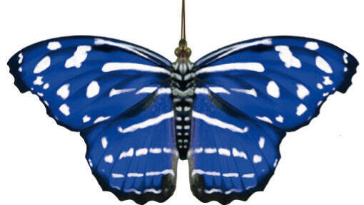 גלית אמריקנית