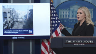 קרוליין לאוויט