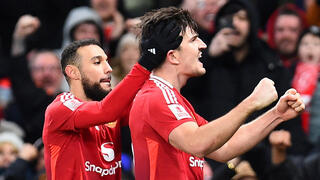 הארי מגווייר