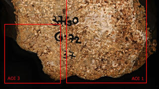 אחד מחפצי האבן שהתגלו במערת מנות