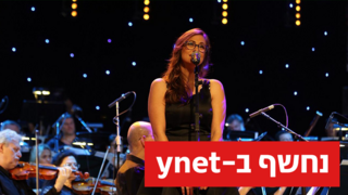 קרן פלס