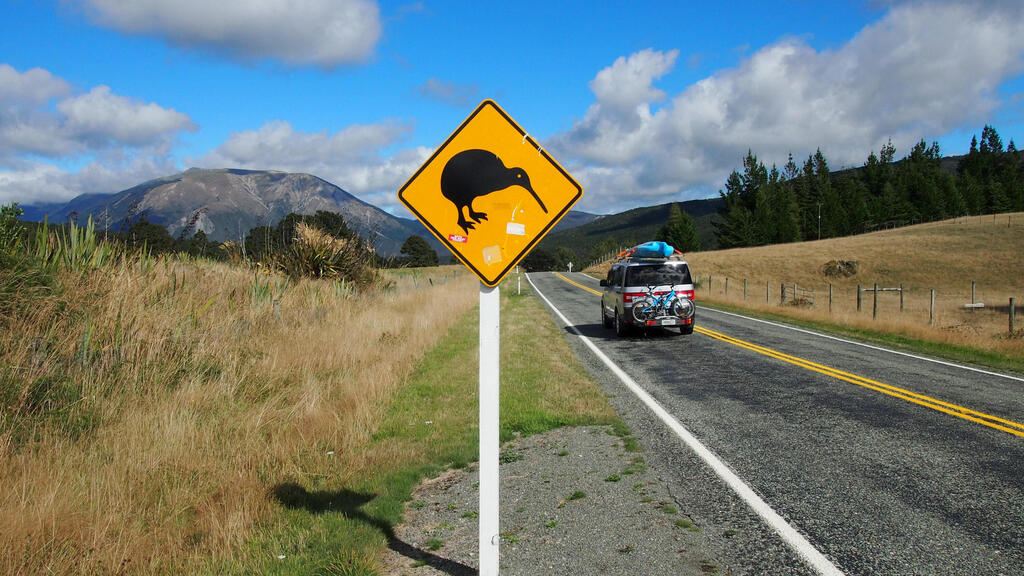 Дорога в Новой Зеландии. Иллюстрация (Фото: REUTERS/Henning Gloystein/File Photo) ניו זילנד