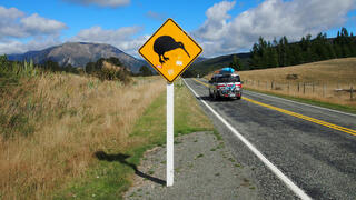 חשד לפגע וברח: ישראלית נהרגה בתאונה בניו זילנד