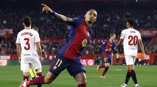 ראפיניה חוגג