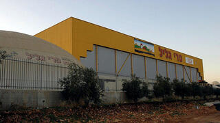 מפעל פרי הגליל