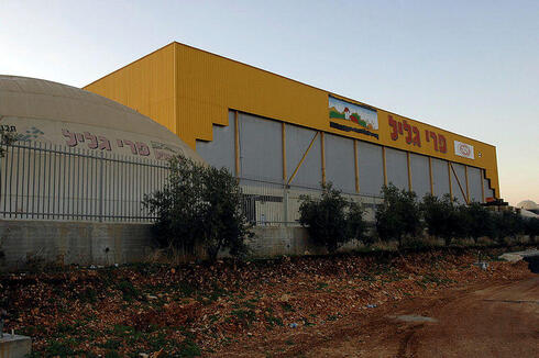 מפעל פרי הגליל