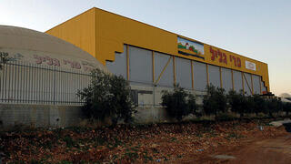 מפעל פרי הגליל