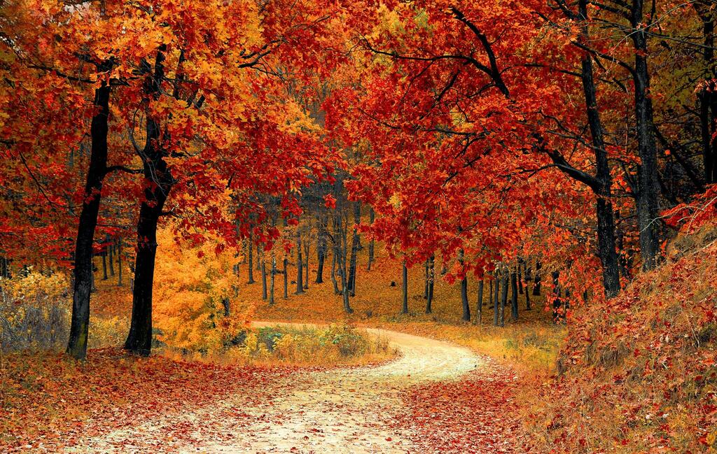 בדיקות לאשה 