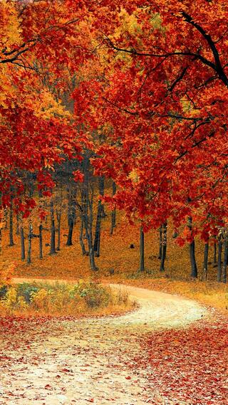 בדיקות לאשה 
