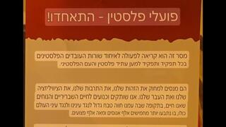 שלטי הסתה שנתלו בחיפה