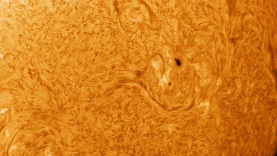 A solar image captured at the new observatory