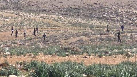 מתנחלים תוקפים פלסטינים סמוך לבית לחם באמצעות גז פלפל, אלות וכלבים