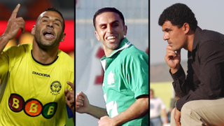 סבע, זועבי ופינס