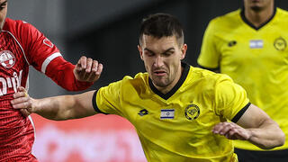 גורדנה מול זלאטנוביץ'