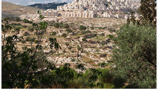 An Israeli settlement in Judea and Samaria