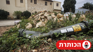 נפל במטולה