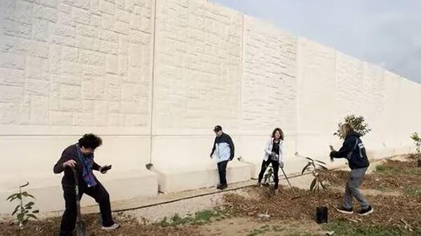 Volunteers plant trees in Kibbutz Magen