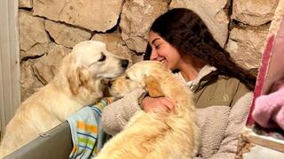 שוב בבית. ליבי ולולה