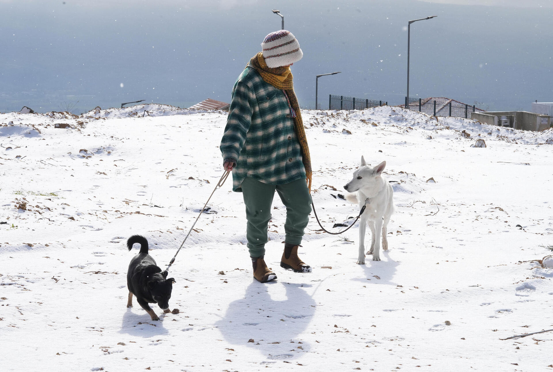 שלג במשגב עם .צילום -