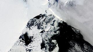 קריסת הקרחונים באנטארקטיקה בגלל שינויי האקלים