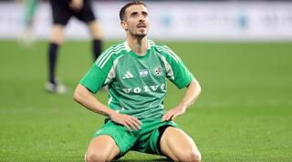 דולב חזיזה שבור