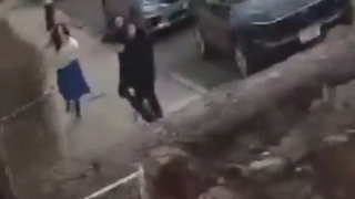 נפילת העץ בברוקלין