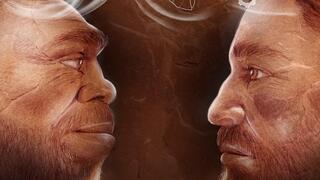 איור המתאר את ההומו ספיינס והאדם הניאנדרטלי חולקים טכנולוגיה והתנהגות