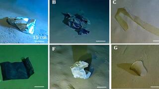 פסולת שאותרה בשקע קליפסו, שבעומק הים התיכון