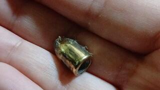 יריות באוויר בסמוך לישוב כפר זיתים ממתחם קבר יתרו נבי שועייב הקדוש לדרוזים, רסיס פגע בידה של תושבת המקום